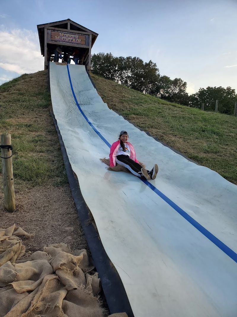 Playgrounds, Slides, and Climbing Playgrounds, Slides, and Climbing