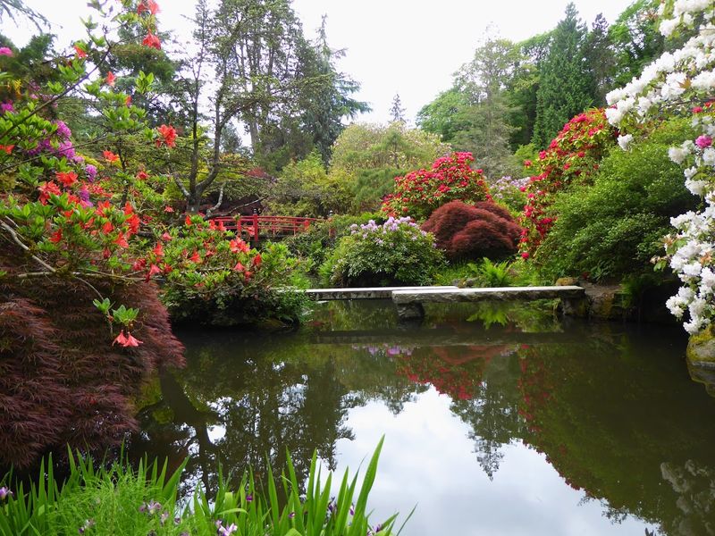 Ponds, Bridges, and the Sounds of Moving Water