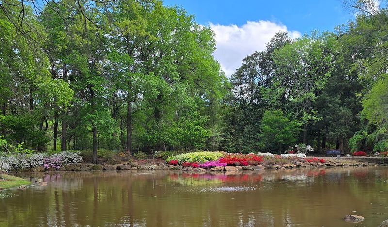 Ponds, Ducks, and Fishing: The Relaxed Side of the Park Ponds, Ducks, and Fishing: The Relaxed Side of the Park