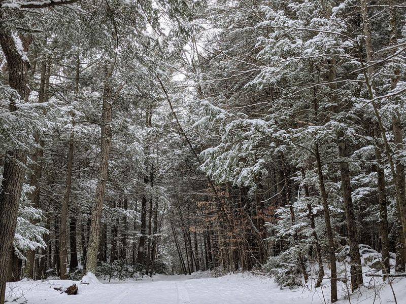 Practical Tips Before You Make the Drive
