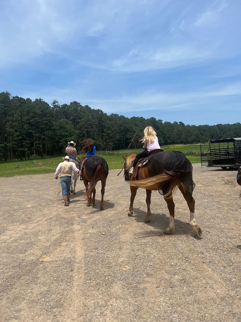 Practical Tips Before You Saddle Up