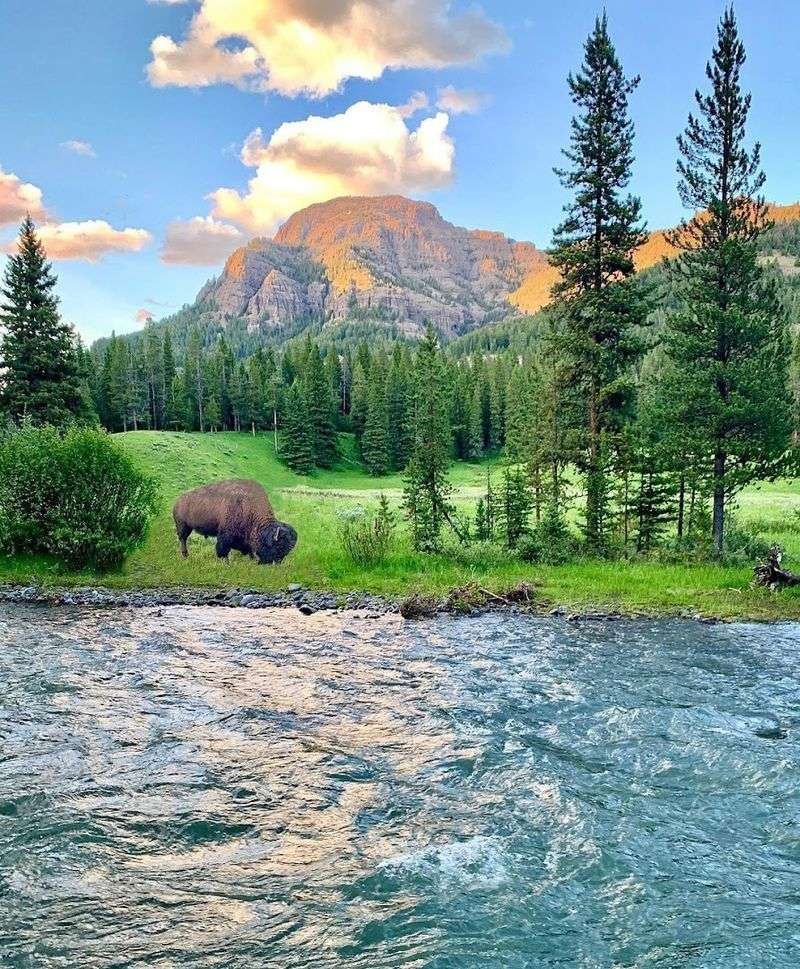 Practical Tips That Will Actually Save Your Trip Practical Tips That Will Actually Save Your Trip
