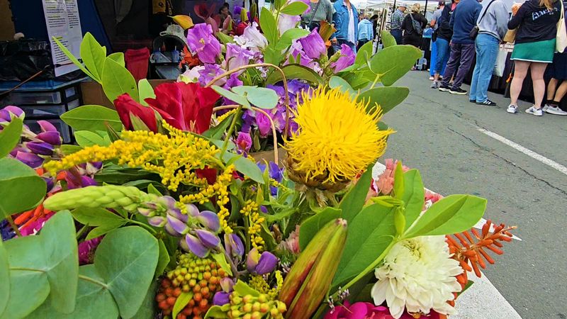 Practical Tips for Getting the Most Out of Your Visit