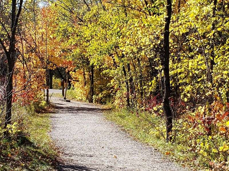 Practical Tips for Your Fall Visit