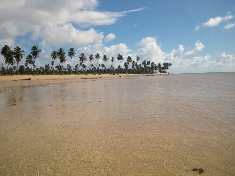 Praia do Patacho, Alagoas