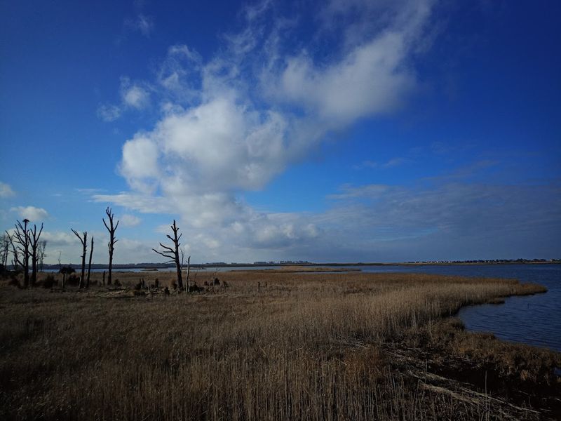 Prime Hook National Wildlife Refuge, Milton, Delaware