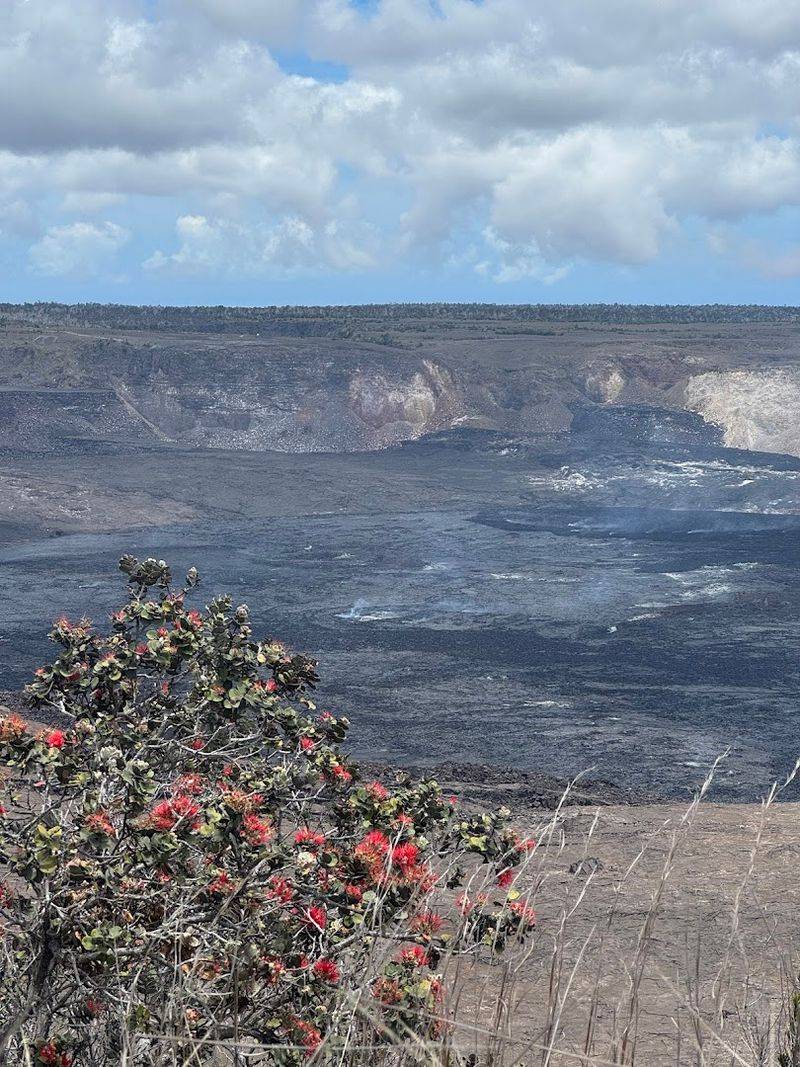 Private Tour Option: A Personalized Island Experience