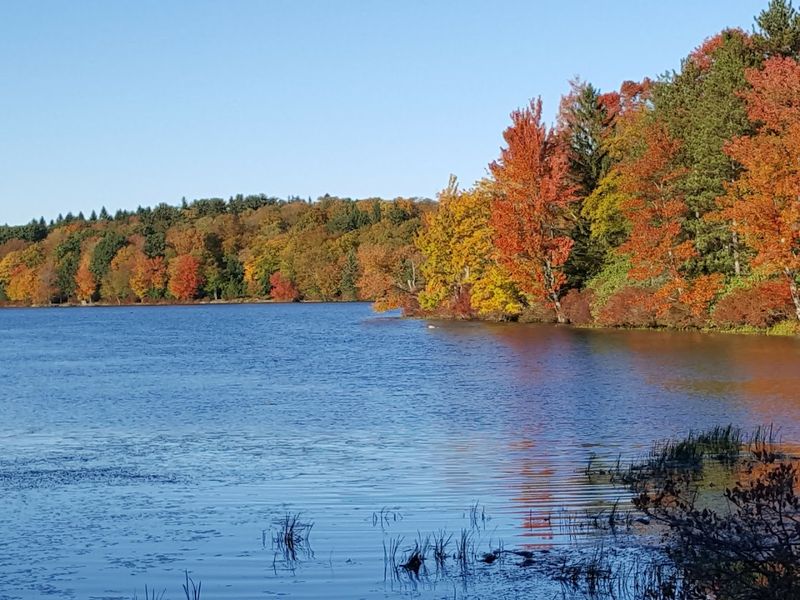 Promised Land State Park, Greentown, Pennsylvania