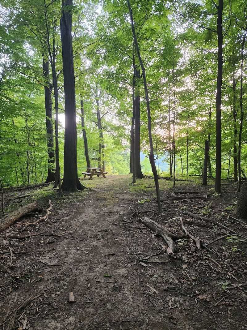 Proximity to Trails and the Ohio and Erie Canal Towpath Proximity to Trails and the Ohio and Erie Canal Towpath