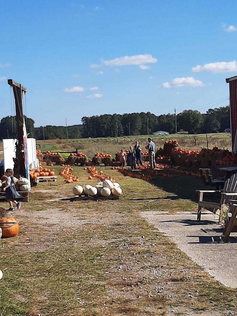 Pumpkin Cannons and the Art of the Flying Gourd Pumpkin Cannons and the Art of the Flying Gourd