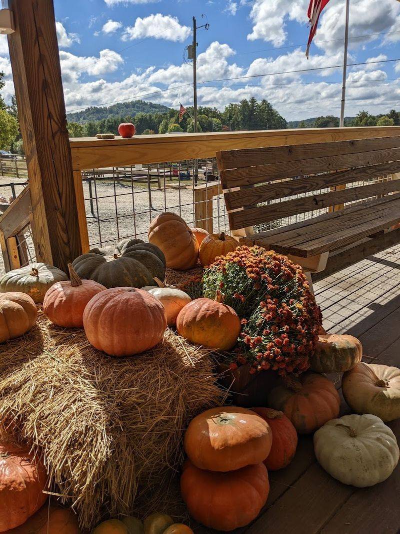 Pumpkins, Blackberries, and More Than Just Apples Pumpkins, Blackberries, and More Than Just Apples