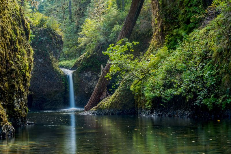 Punch Bowl Falls — Columbia River Gorge, Oregon Punch Bowl Falls — Columbia River Gorge, Oregon