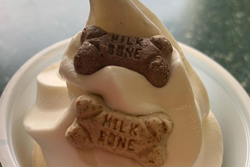 Pup Cups and Kid-Friendly Details Pup Cups and Kid-Friendly Details