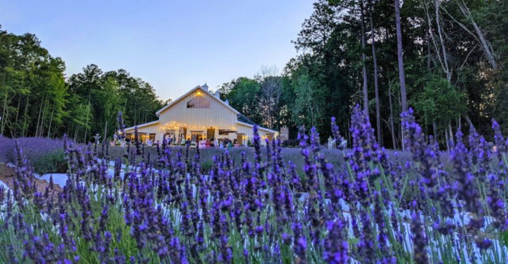 Purple Fields and Calming Aromas Make This North Carolina Farm Feel Almost Magical