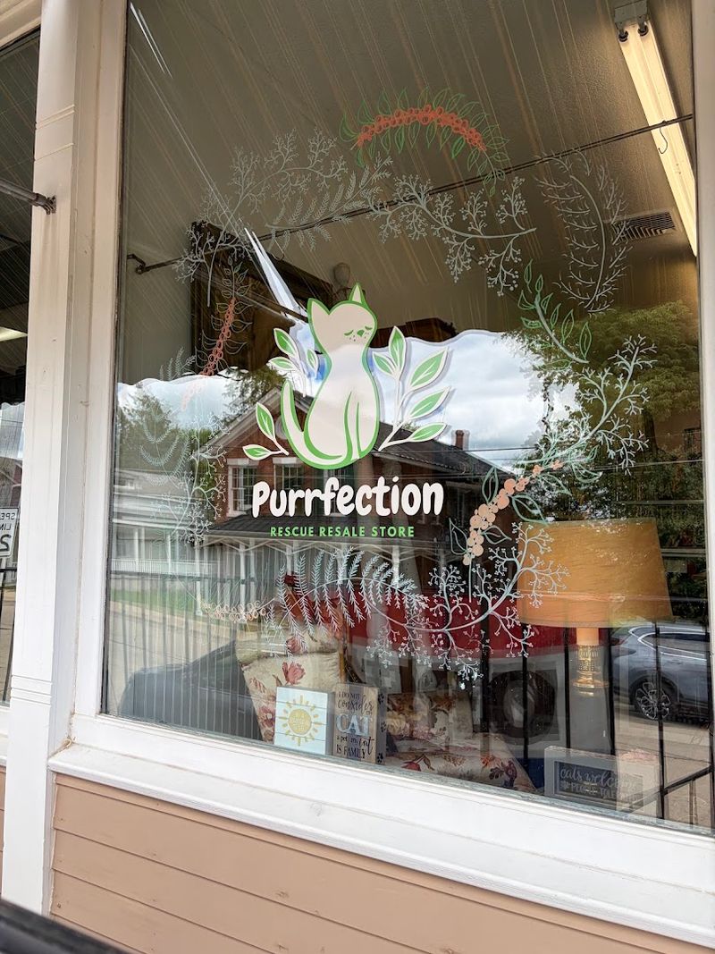 Purrfection Rescue Resale Store Galena IL