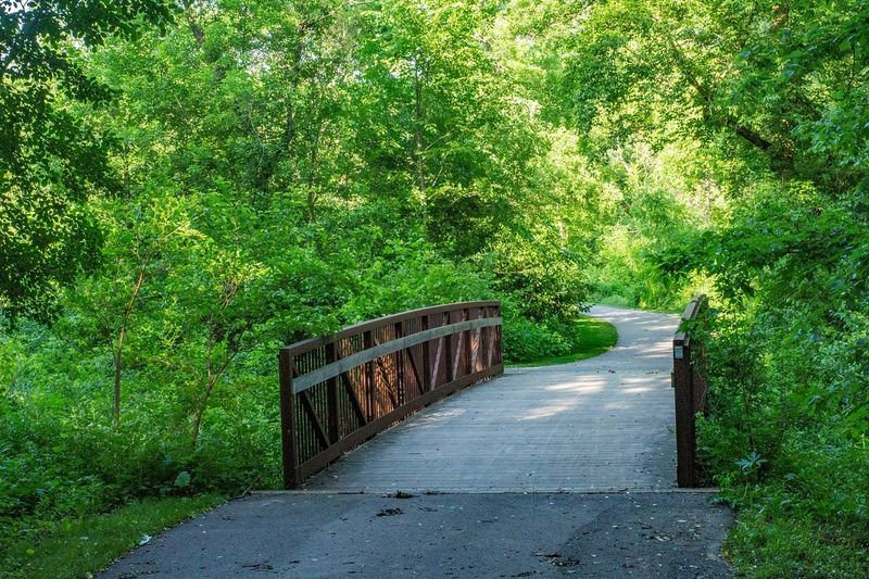 Quarry Hill Nature Center: Where The City Meets The Wild Quarry Hill Nature Center: Where The City Meets The Wild
