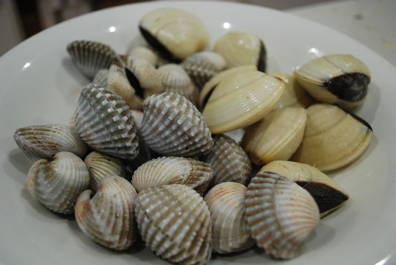 Raw Clams and Mussels Raw Clams and Mussels