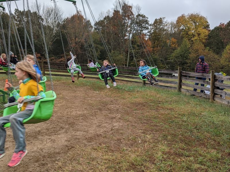 Rides That Keep Kids Busy All Day Rides That Keep Kids Busy All Day