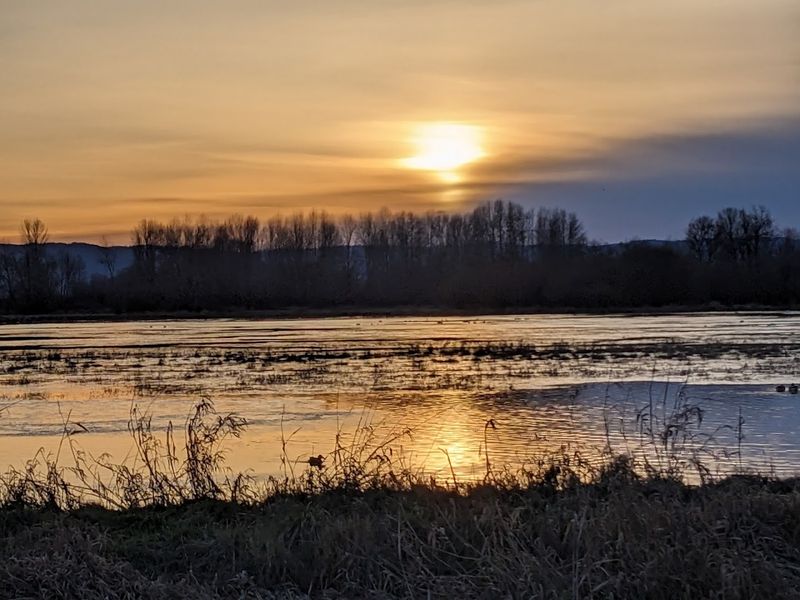 Ridgefield National Wildlife Refuge, Ridgefield, Washington