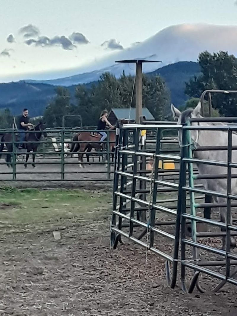 Riding Through the Orchards: A Route Unlike Any Other