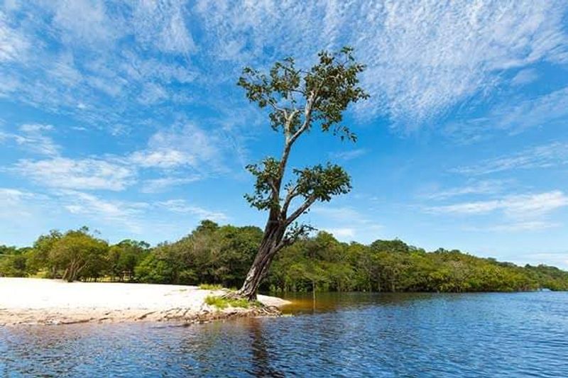 Rio Negro Rio Negro