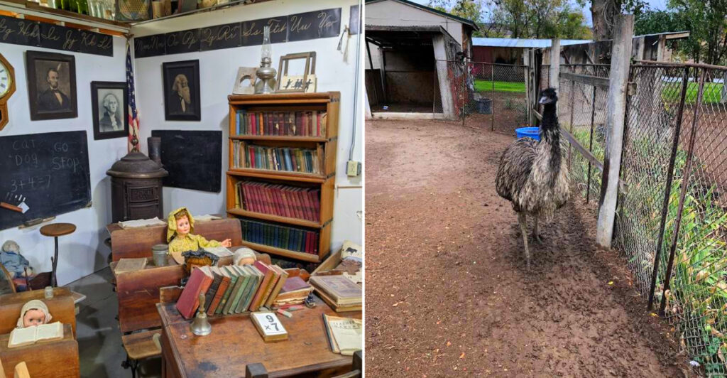 Road-Trippers Are Discovering This Idaho Museum Filled With 50 Rooms of Frontier Treasures and a Real Emu