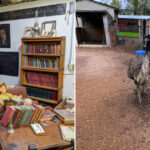 Road-Trippers Are Discovering This Idaho Museum Filled With 50 Rooms of Frontier Treasures and a Real Emu