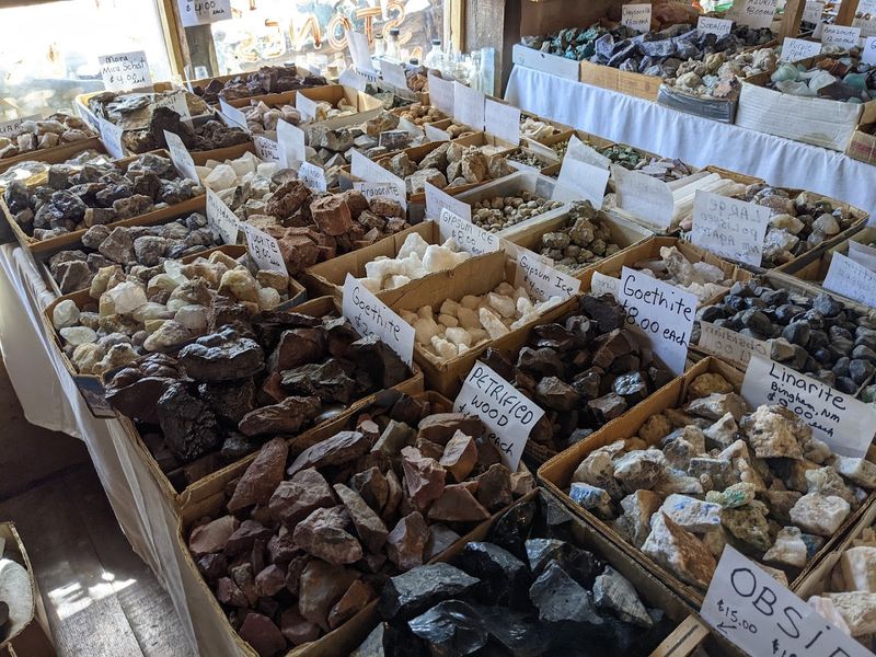 Rocks, Crystals, Fossils, and Things You Did Not Know You Needed