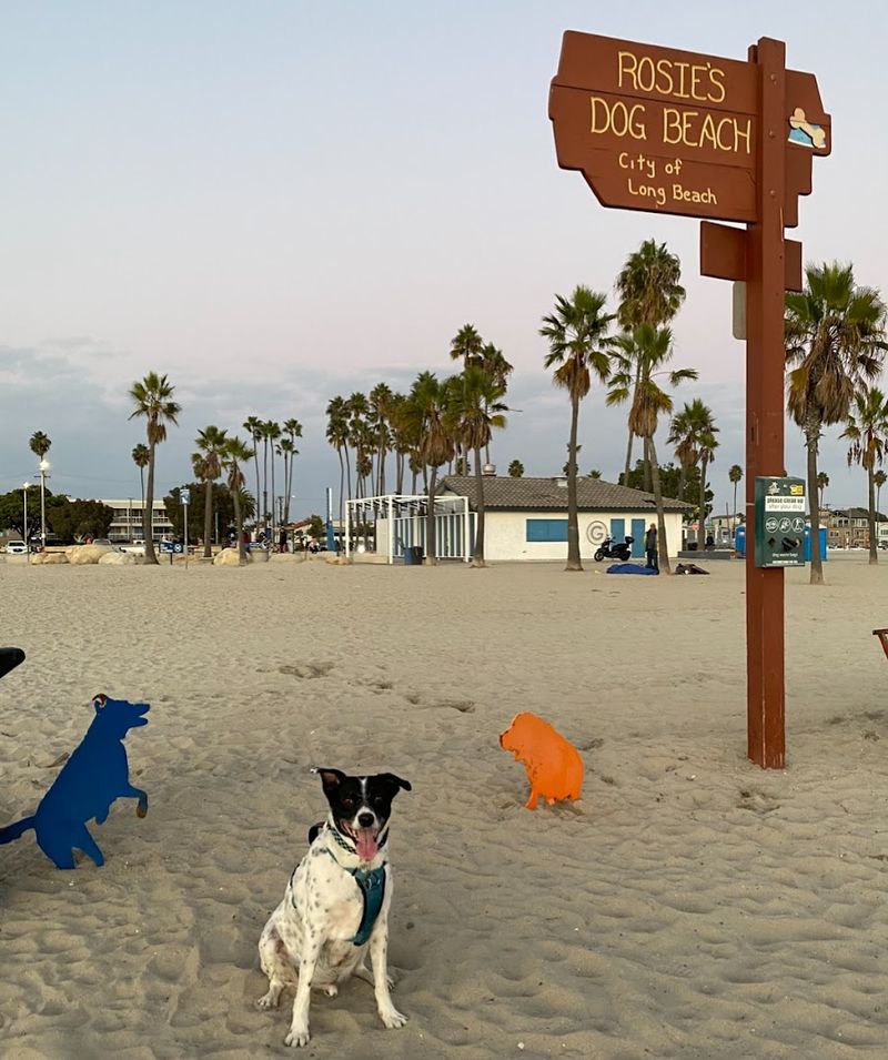 Rosie's Dog Beach, Long Beach, California