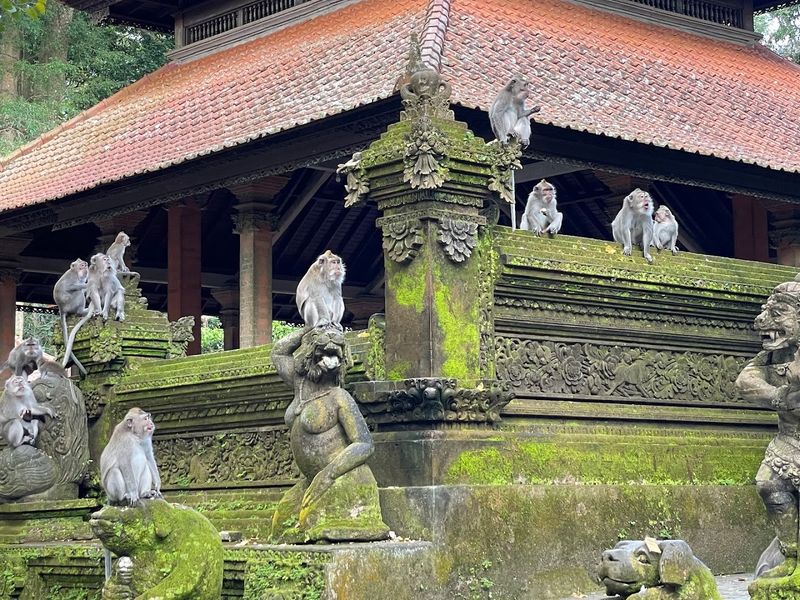 Sacred Monkey Forest Sanctuary, Ubud, Bali, Indonesia