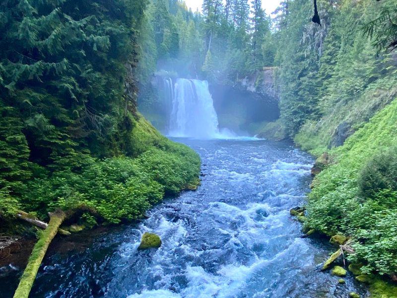 Sahalie and Koosah Falls: A Two-for-One Waterfall Loop
