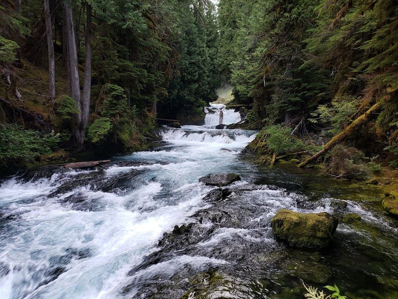 Sahalie and Koosah River Pools — McKenzie River, Oregon