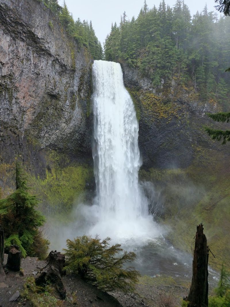 Salt Creek Falls — Willamette National Forest, Oregon Salt Creek Falls — Willamette National Forest, Oregon