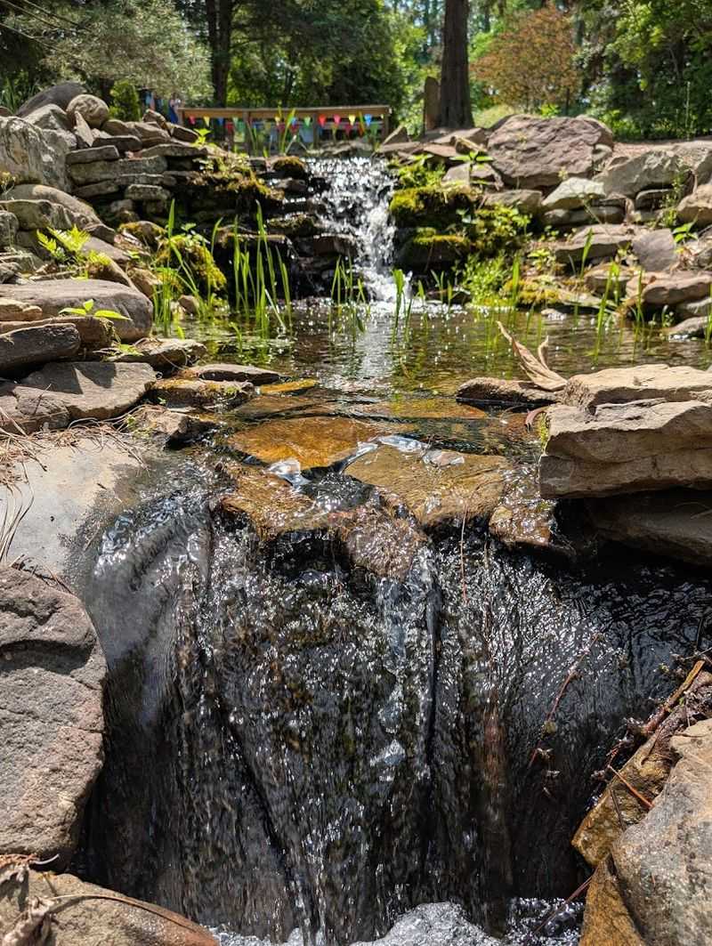 Sandhills Horticultural Gardens — Pinehurst, North Carolina