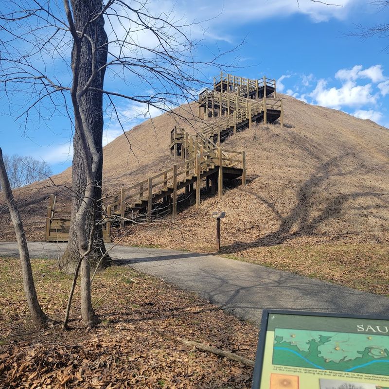 Saul's Mound: The Star of the Park Saul's Mound: The Star of the Park