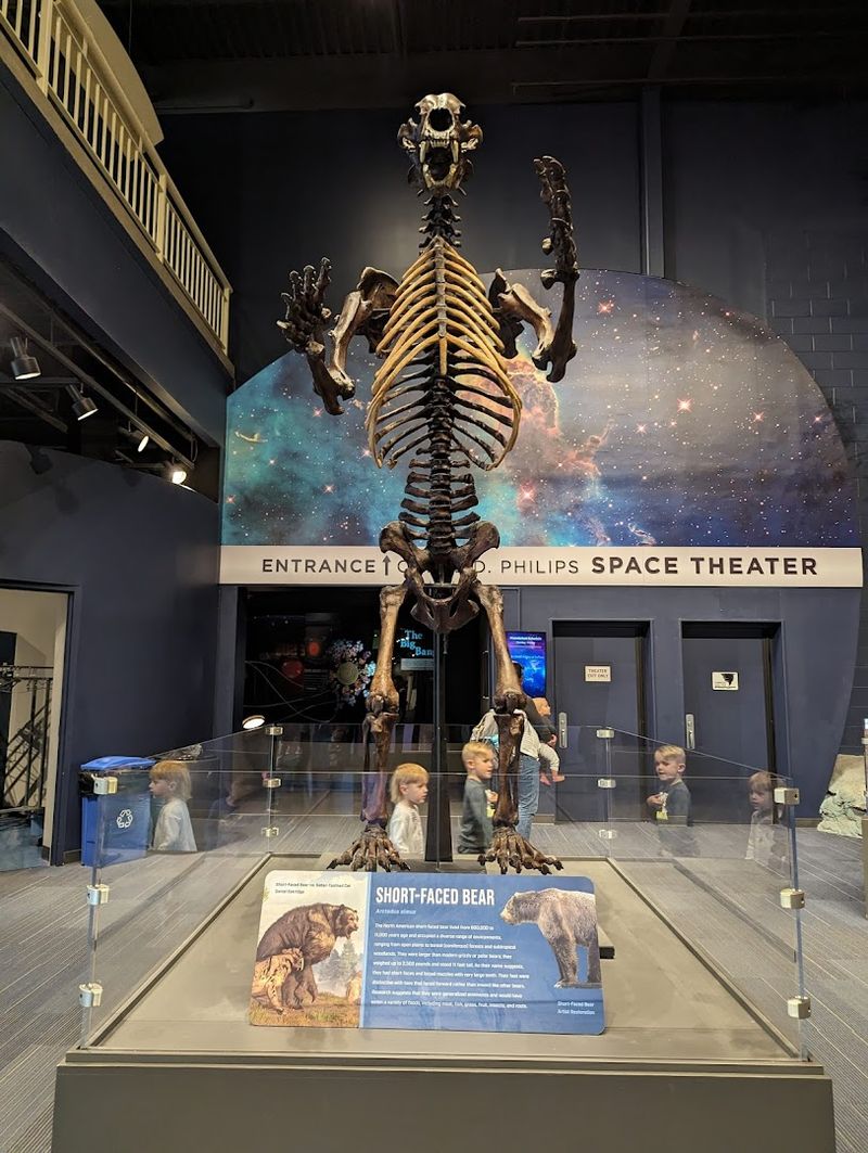 Science Shows That Draw a Crowd Every Day