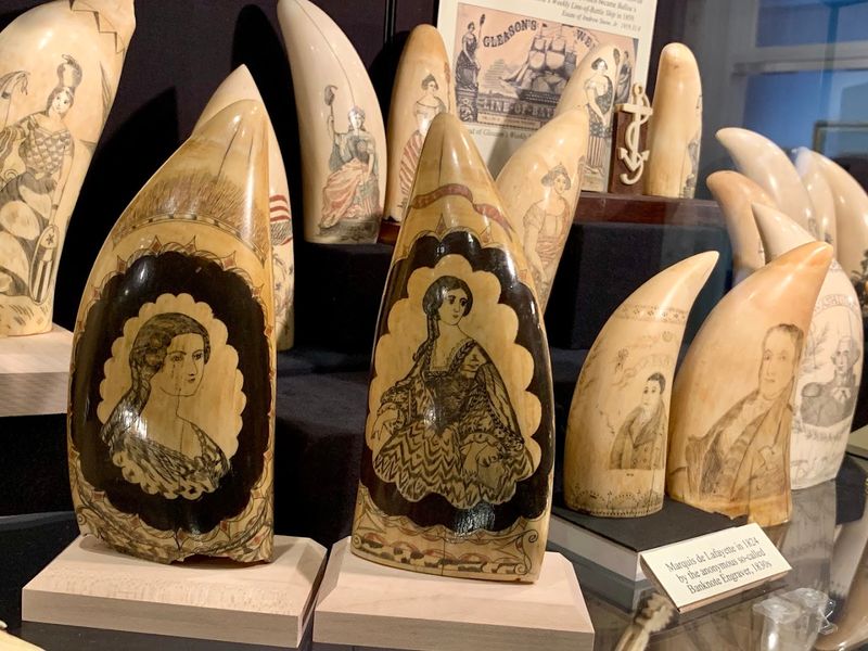 Scrimshaw: The Art Form That Sailors Carved Into History