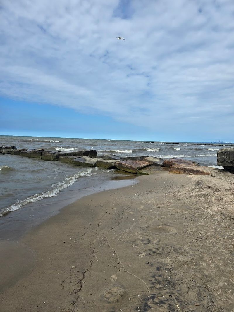 Sea Glass Hunting Along the Shoreline Sea Glass Hunting Along the Shoreline