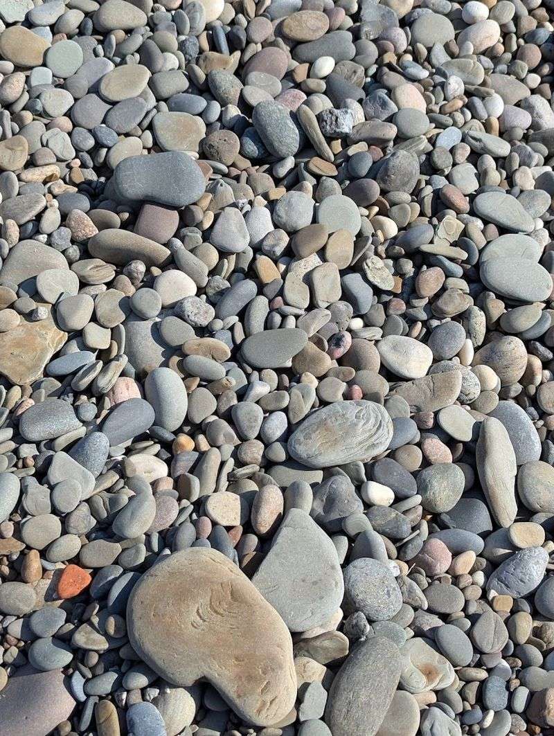 Sea Glass Hunting at Clearwater Beach