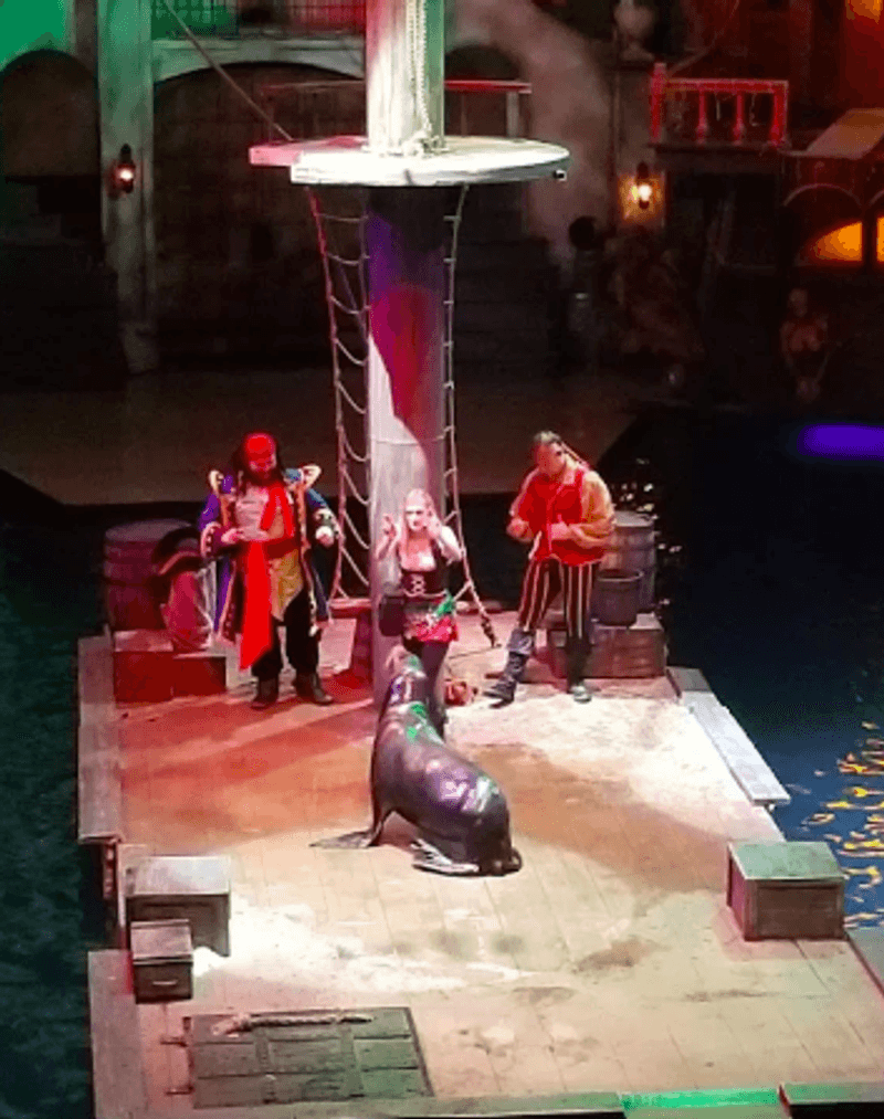 Sea Lions, Dogs, and Mermaids on Stage Sea Lions, Dogs, and Mermaids on Stage