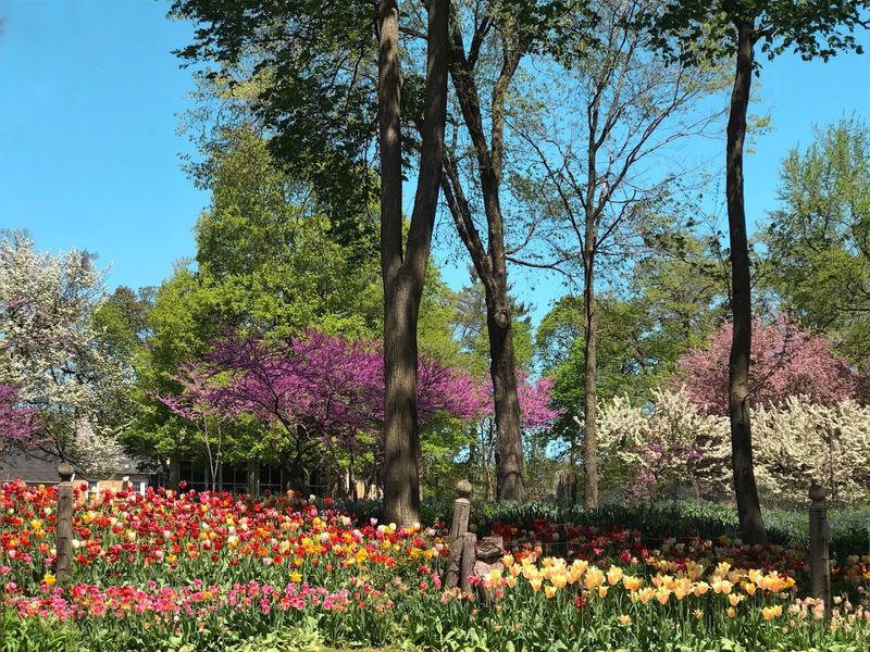 Seasonal Beauty: What Geneva Looks Like Through the Year Seasonal Beauty: What Geneva Looks Like Through the Year