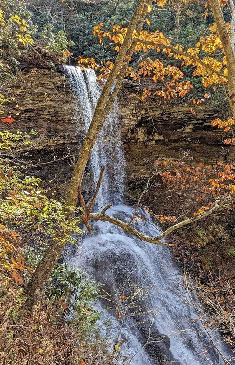 Seasonal Changes Along the Trail