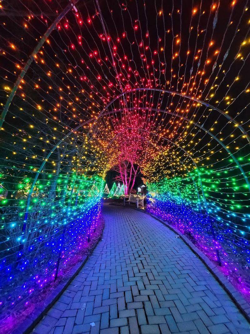 Seasonal Events That Keep the Calendar Full