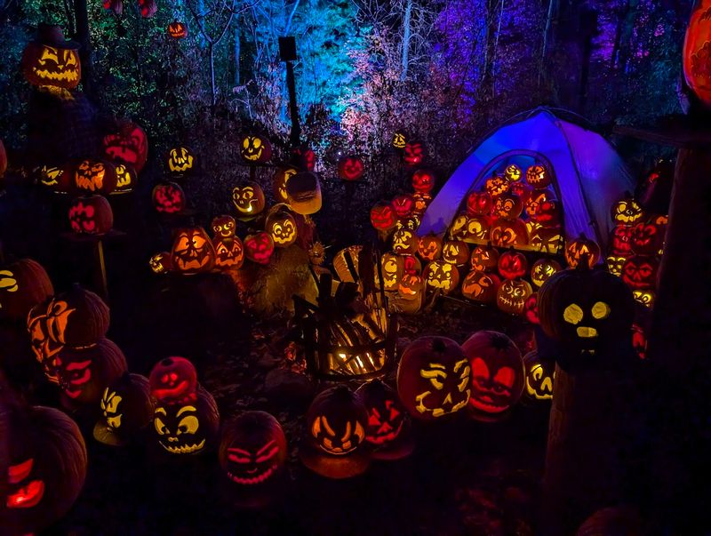 Seasonal Events That Transform The Zoo Seasonal Events That Transform The Zoo
