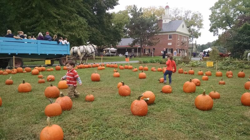 Seasonal Events That Transform the Grounds