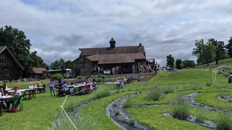 Seasonal Festivals That Keep the Calendar Full