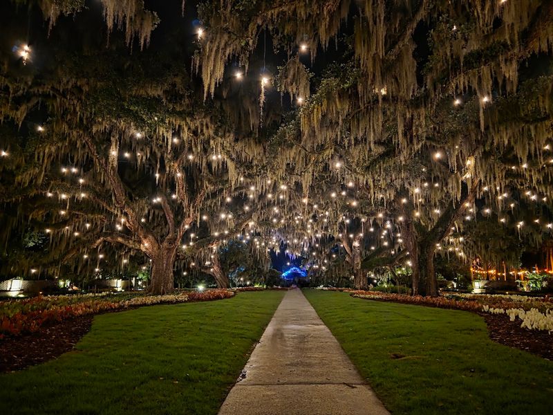 Seasonal Highlights Throughout the Year
