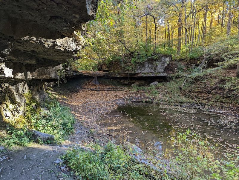 Seasonal Highlights Throughout the Year