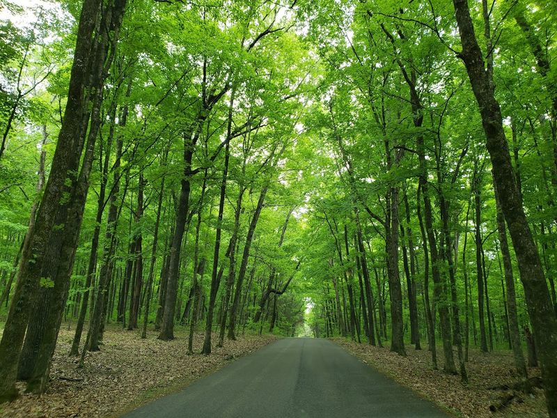 Seasonal Reasons To Visit More Than Once Seasonal Reasons To Visit More Than Once