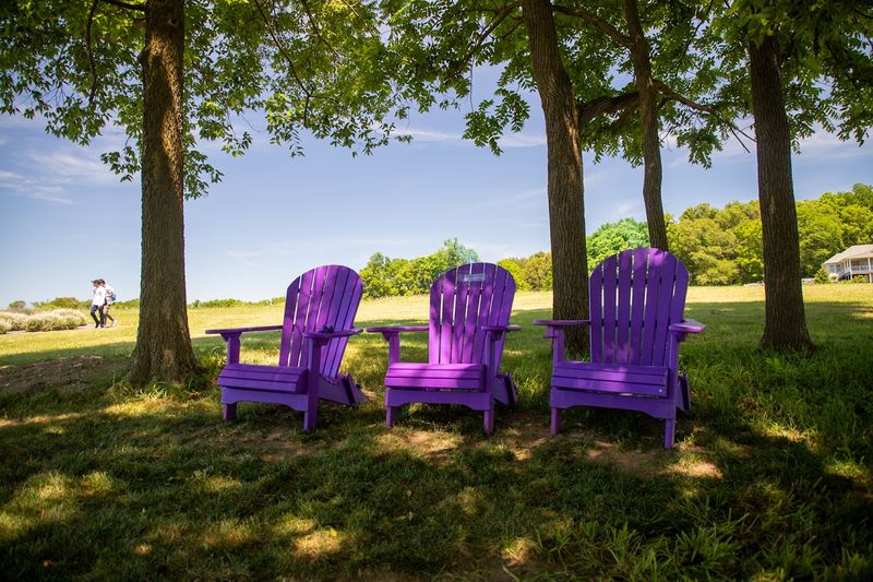 Seating, Accessibility, and Getting Around the Farm Seating, Accessibility, and Getting Around the Farm